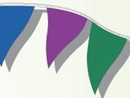 Spectrum 105' Mass Pennant - Northland's Dealer Supply Store