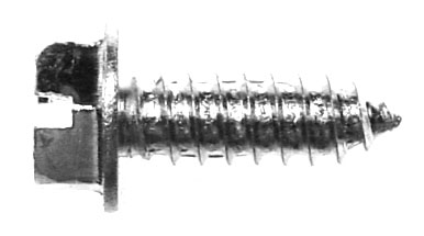 Hex Head License Plate Screws